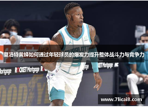 夏洛特黄蜂如何通过年轻球员的爆发力提升整体战斗力与竞争力