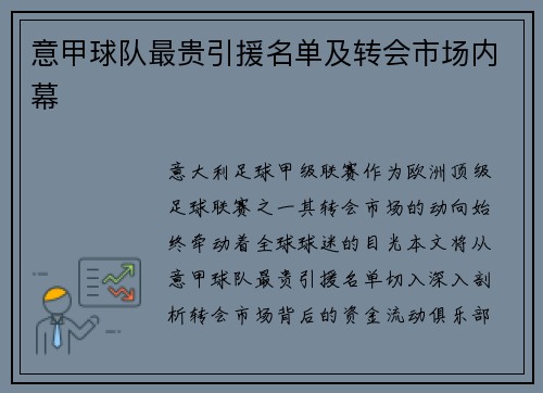 意甲球队最贵引援名单及转会市场内幕